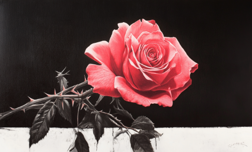 "A single red rose with delicate petals and sharp thorns rests against a stark black background, symbolizing the coexistence of beauty and pain. The image prompts the reflective question, 'Does Grief Ever Go Away?' as the rose embodies both the enduring strength and vulnerability often felt through grief. The contrasting dark background and the vibrant rose suggest that while grief may remain, moments of beauty and resilience can still emerge."