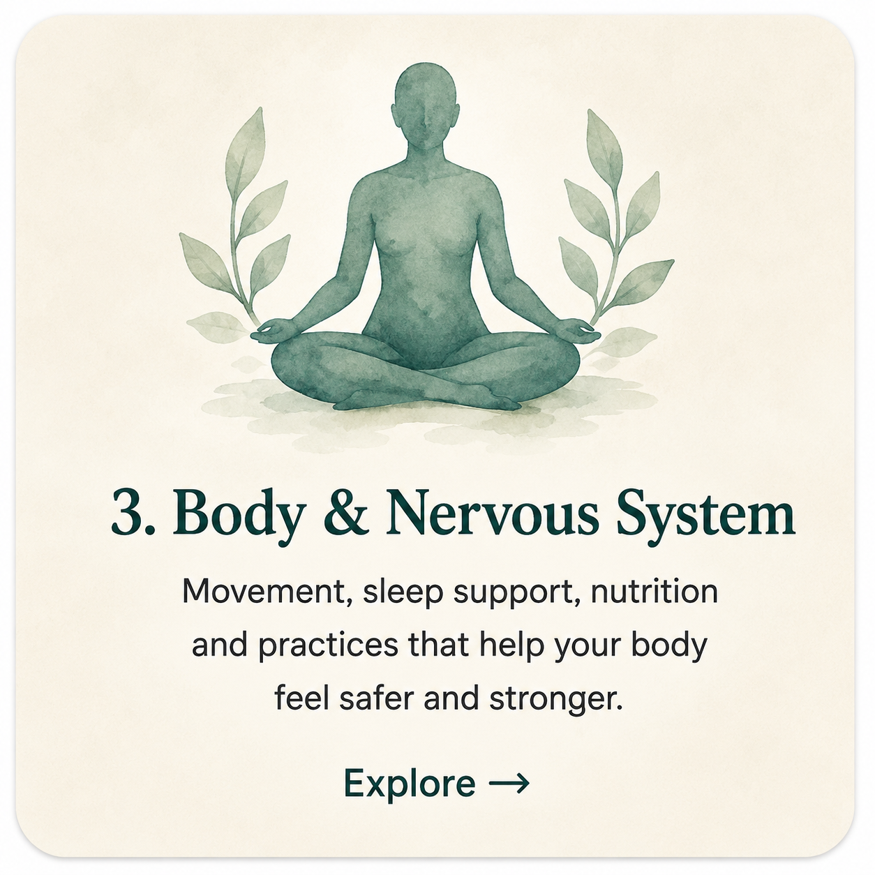 Body and Nervous System
